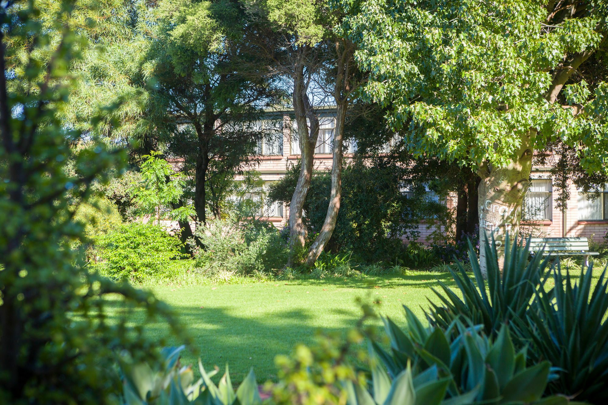 Foreshore Motor Inn Whyalla Eksteriør billede